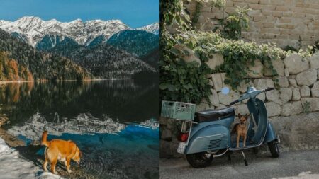 How to embark on a dog-friendly rail adventure around Europe