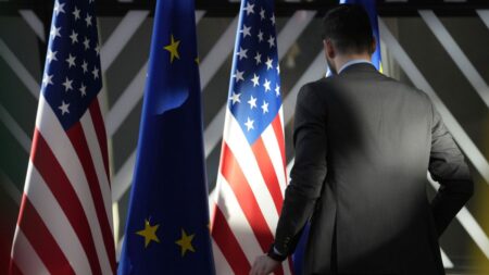 Trump targets EU law, but it's not up for negotiation, says lead MEP