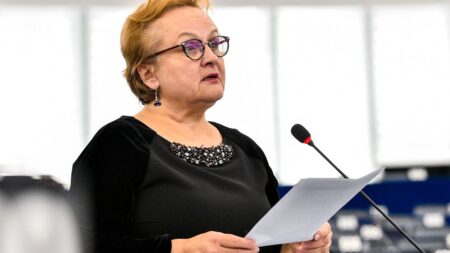 European Commission slammed for 'opaque' funding of NGOs