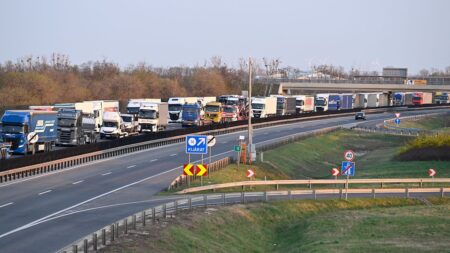 Gridlock at Slovakia border crossings over foot-and-mouth disease