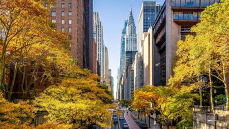 The Cities With The Most Billionaires 2025