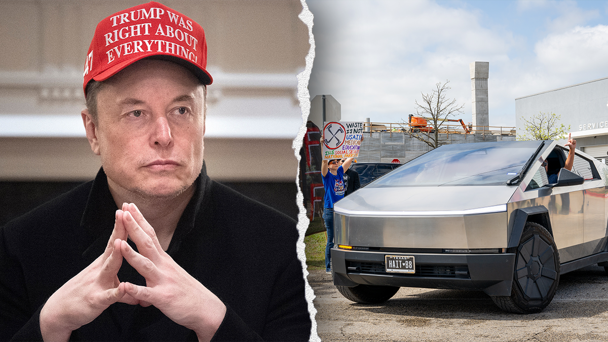 Elon Musk/ Tesla protest