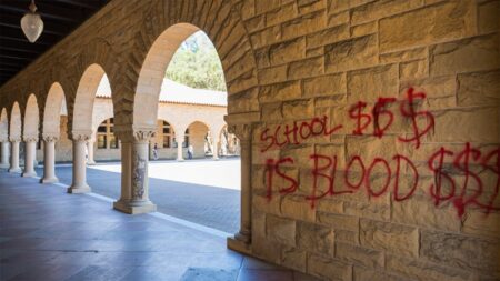 Masked anti-Israel Stanford protesters charged in destructive 2024 campus building takeover