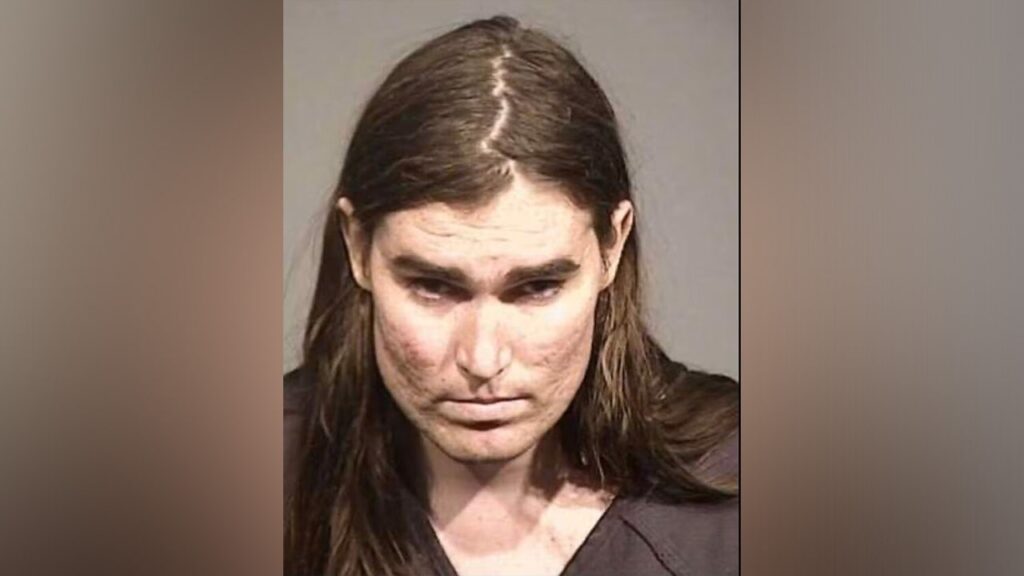 Trans 'Zizian' cult suspect dragged from court after shouting allegations of de-transition, murder: report