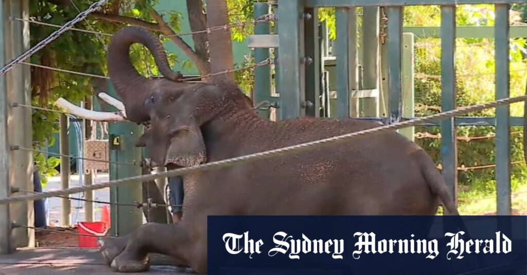 Perth elephant to have new home in South Australia