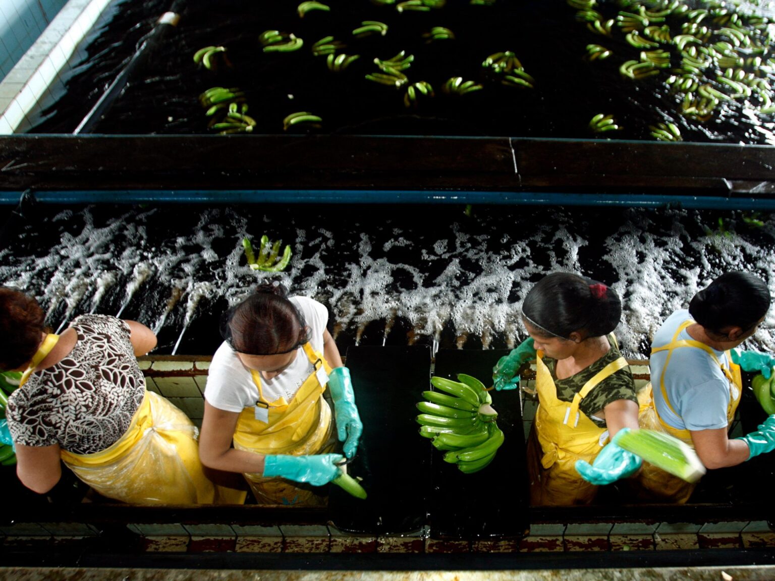 The Take: Could a US-banned pesticide be behind mass sterilization?