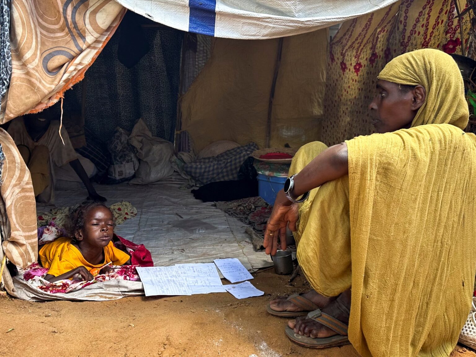 Sudan war to enter third year as RSF assaults in Darfur intensify