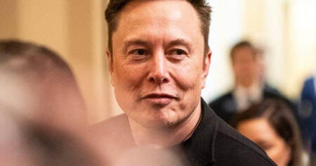 Elon Musk Backs Away From Washington, but DOGE Remains
