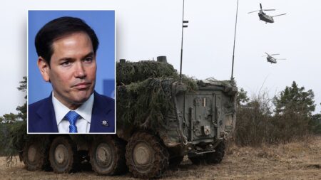 Rubio demands NATO pony up, dismisses 'hysteria' over US role under Trump