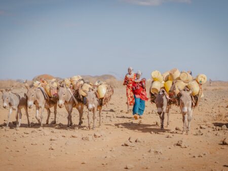 In Kenya, girls are sold into marriage to stave off starvation from drought