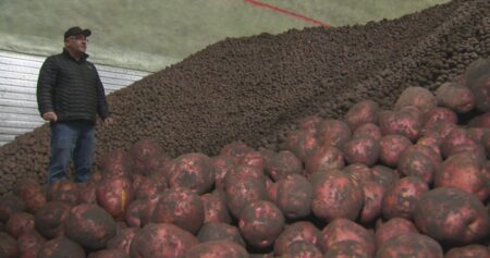 Trump tariffs affect ag industry, including exempt products: CFA