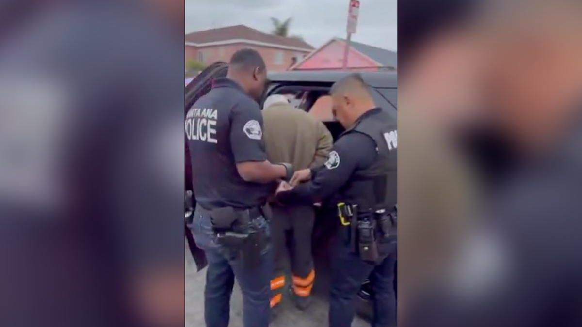 Alleged cat killer being arrested