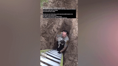 Dog stranded for days in sinkhole caught on camera getting rescued after utility worker hears barks