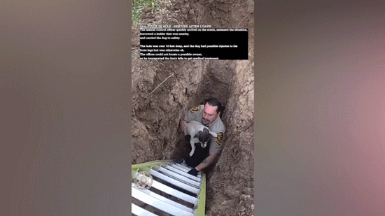 Dog stranded for days in sinkhole caught on camera getting rescued after utility worker hears barks