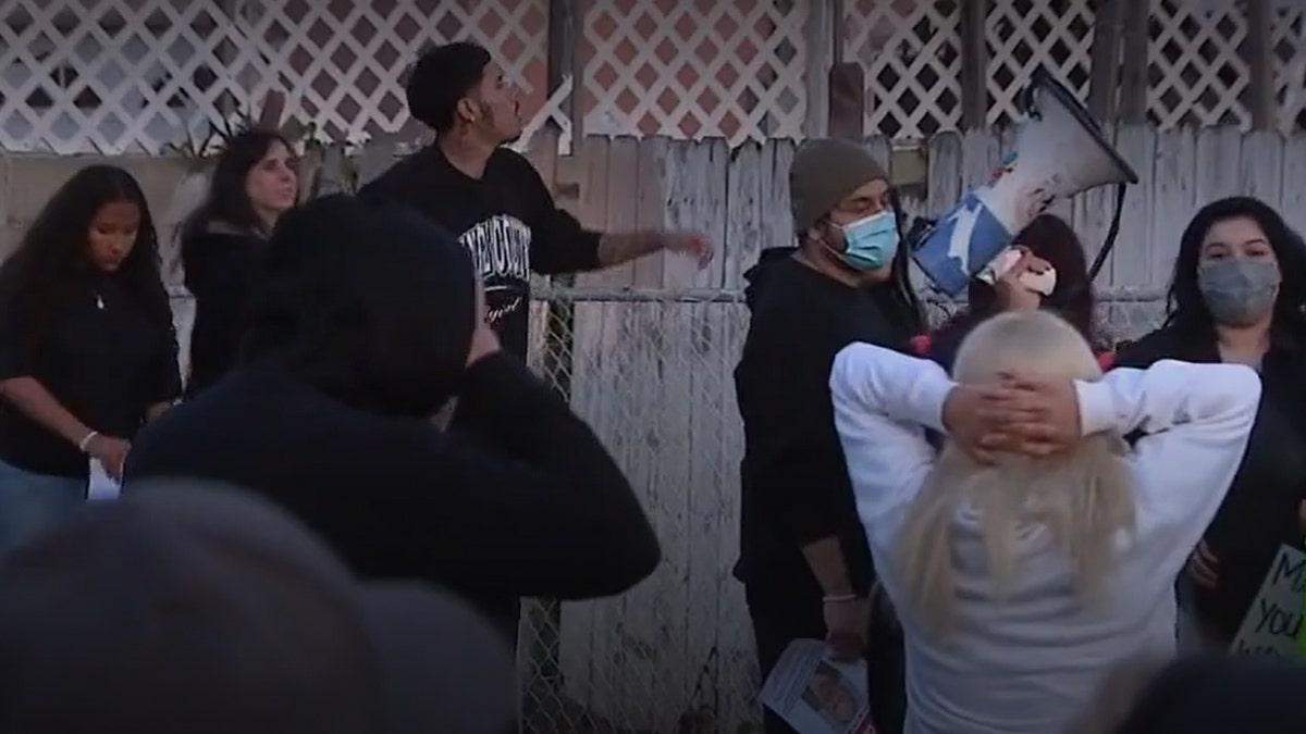 Unruly cat vigil mob attacks home