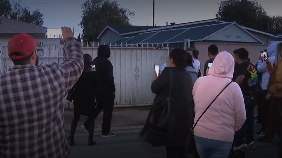 Crowd at slain cat vigil