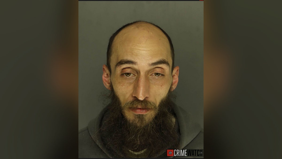 PA governor's mansion arson suspect Cody Balmer booking photo