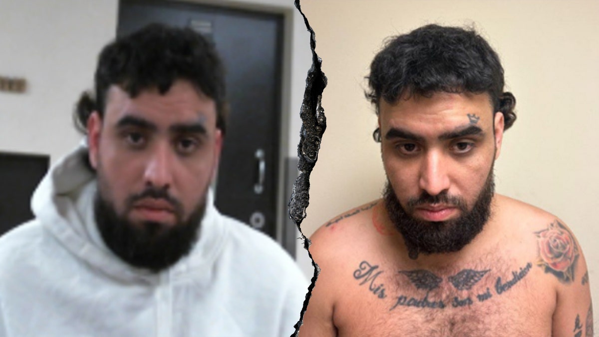 Cristian Andres Andrade-Vargas