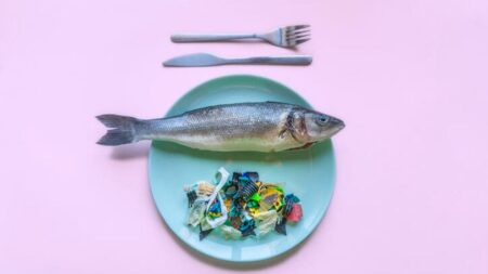 The 8 Foods You’re Eating That Likely Contain Microplastics
