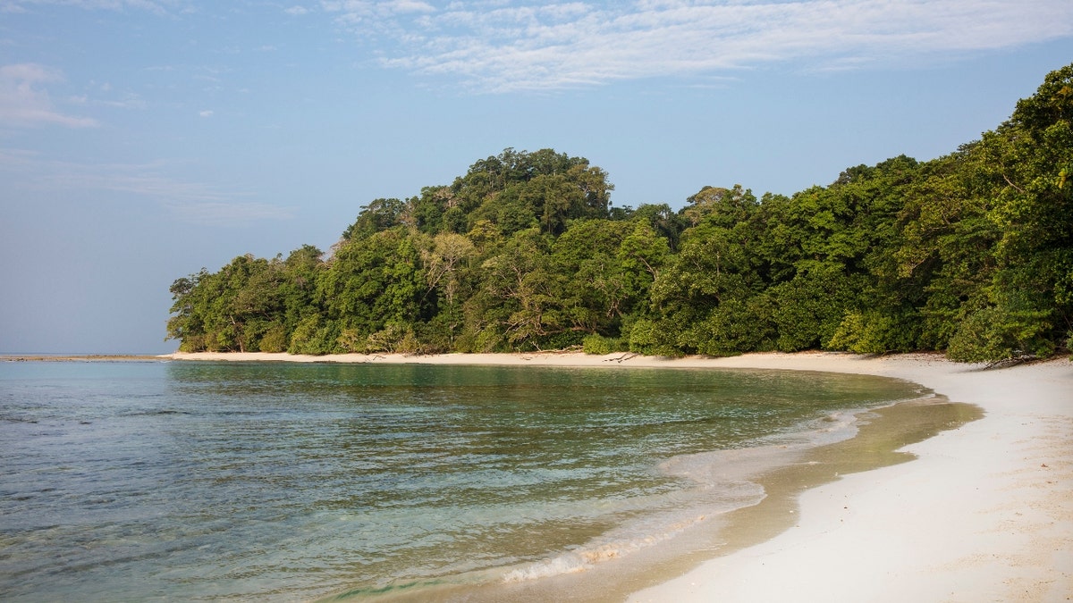 The shore of the Andaman and Nicobar Islands