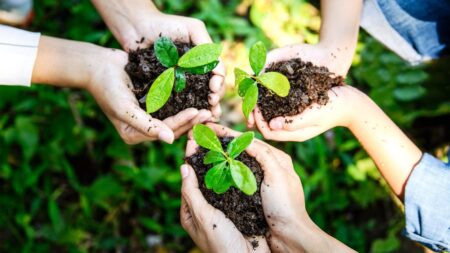 9 Garden Tools You Need (and 7 You Don’t), According to Experts