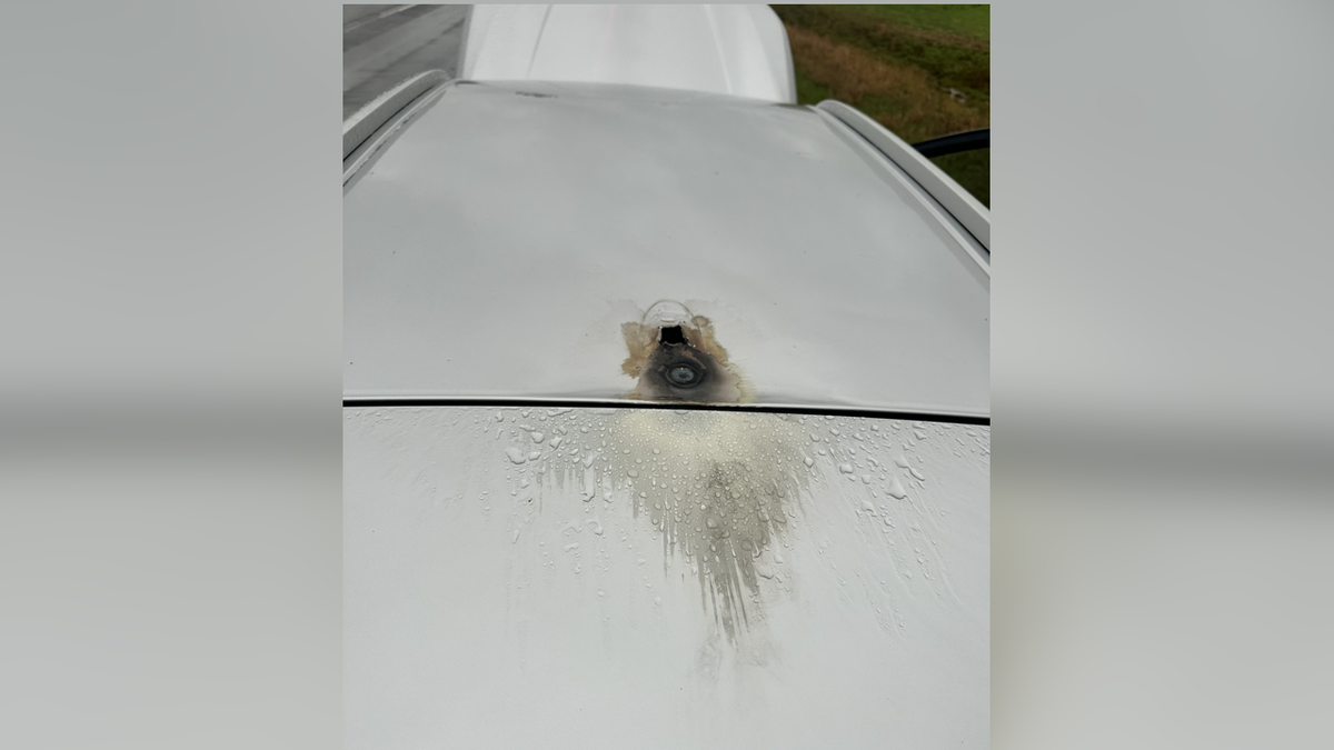 View from roof of SUV