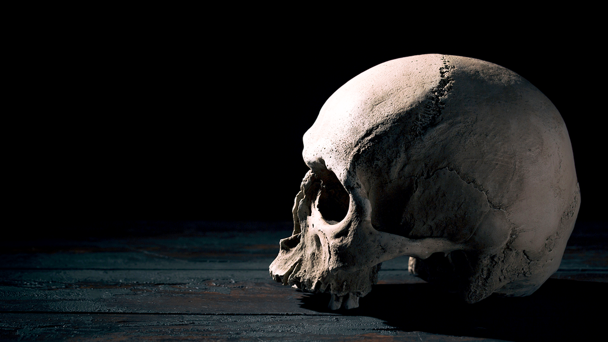 human skull on a table