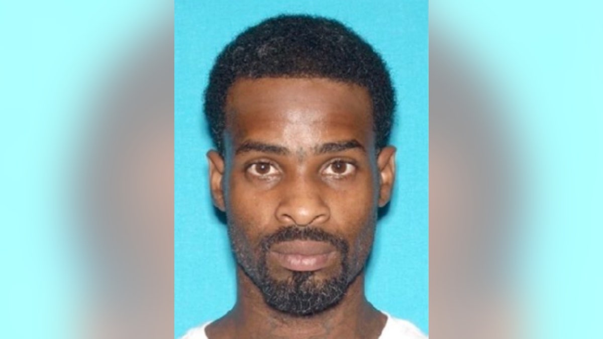 Rainess Holmes mugshot