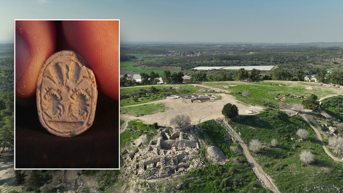 Split image of scarab and ancient tell