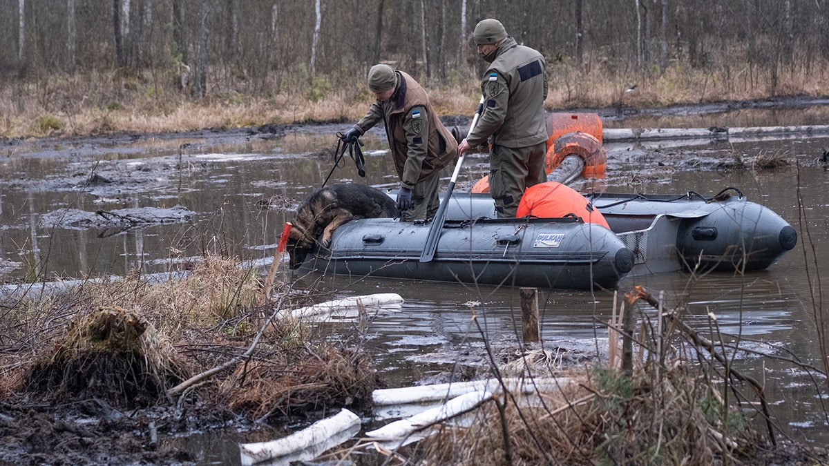Search for missing American soldier in Lithuania