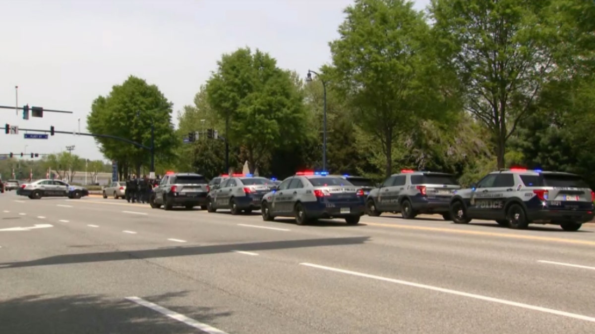 numerous police cars lined up on road
