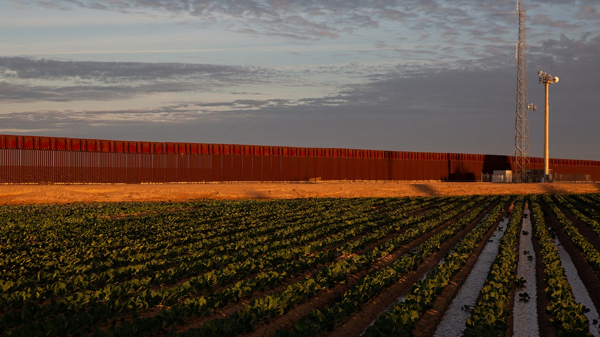 Border wall near San Luis port of entry