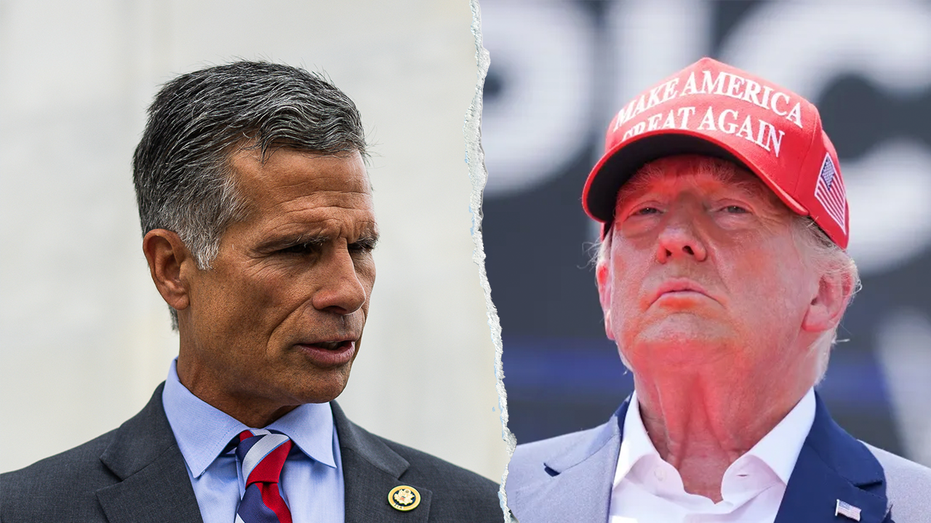 Trump House GOP ally on board with tax hike for ultrawealthy to fund 'big, beautiful bill'