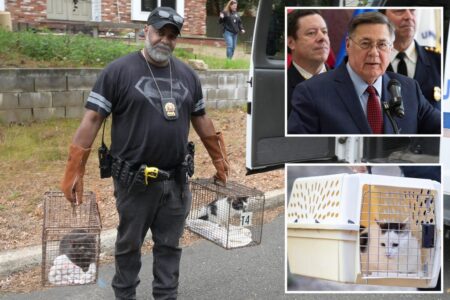 It’s now a crime for animal abusers to own pets in this LI county: ‘We’ve closed the loophole’