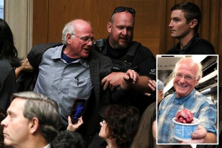 Ben & Jerry’s co-founder arrested protesting Senate hearing: ‘RFK kills people with hate’