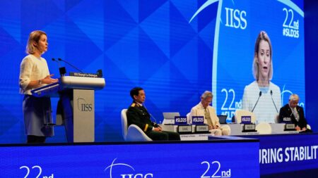 EU's Kallas warns against Russia and China's growing alliance