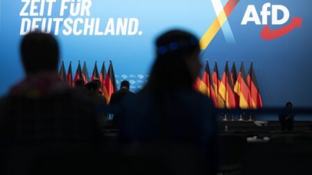Γερμανία: Οι απόψεις των Βερολινέζων για τον χαρακτηρισμό του AfD ως «εξτρεμιστικό» κόμμα