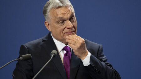 Orbán criticises Irish PM veto comments made in Euronews interview