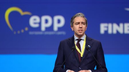 Fine Gael defends refusal to back Hamas hostage release resolution