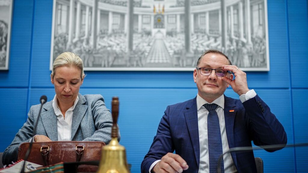Germany designates AfD as right-wing extremist organisation