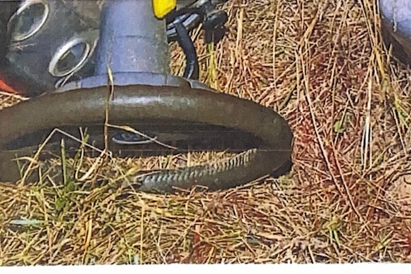 Blood found at the scene of the Crawford home.