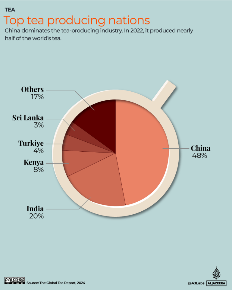 INTERACTIVE_TEA_PRODUCING_MAY20_2025-1747752564