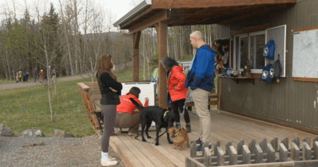 Albertans need to stay aware of wildlife while enjoying the outdoors, advocates say