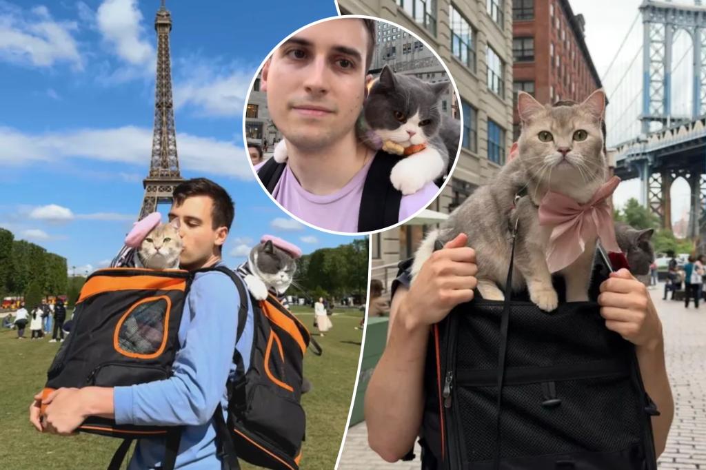 Illinois pet owner spent $23,000 for his cats to travel world 10 times in 2 years