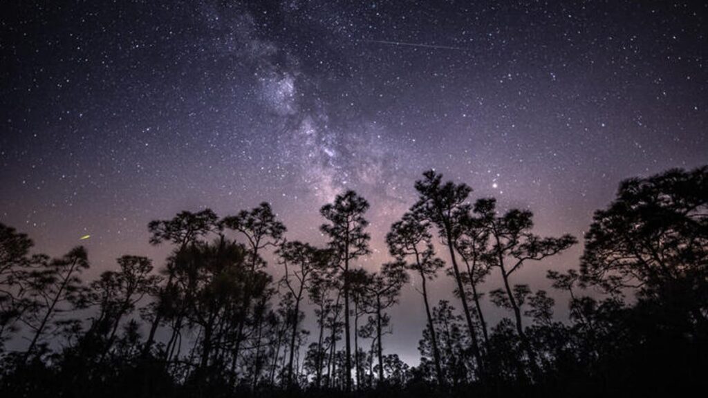 Get Outside Monday Night to See the Eta Aquarid Meteor Shower Peak