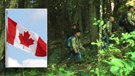 Illegal immigrants accused of pocketing thousands by smuggling hundreds of aliens each week from Canada to US