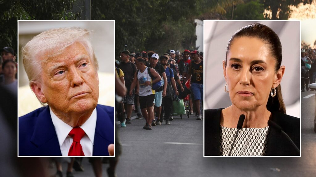 Mexican president declines Trump's offer of US troops to help fight drug cartels