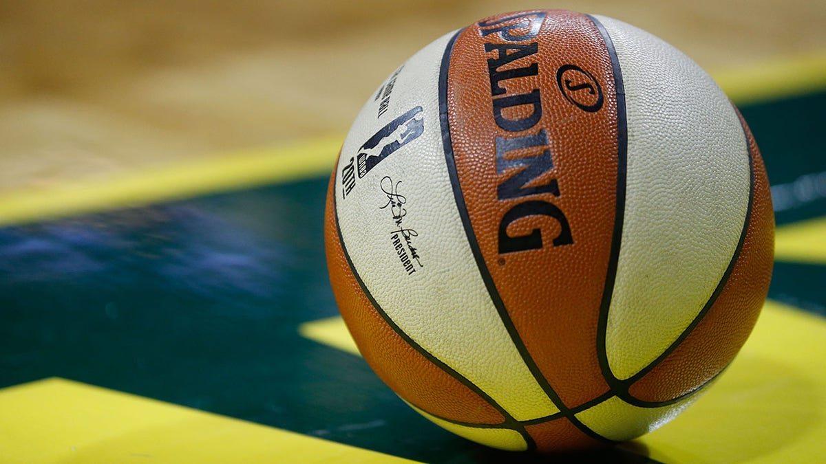 WNBA ball in 2018