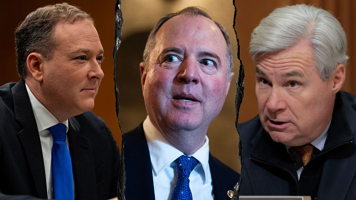 zeldin schiff and sheldon