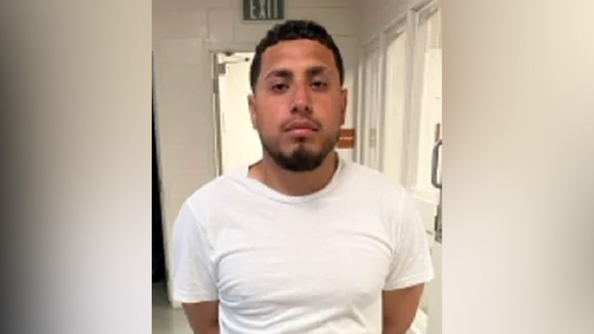 Jesus Alan Hernandez-Morales